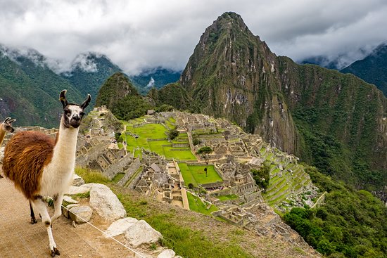 Machu Picchu 🏔️🚂